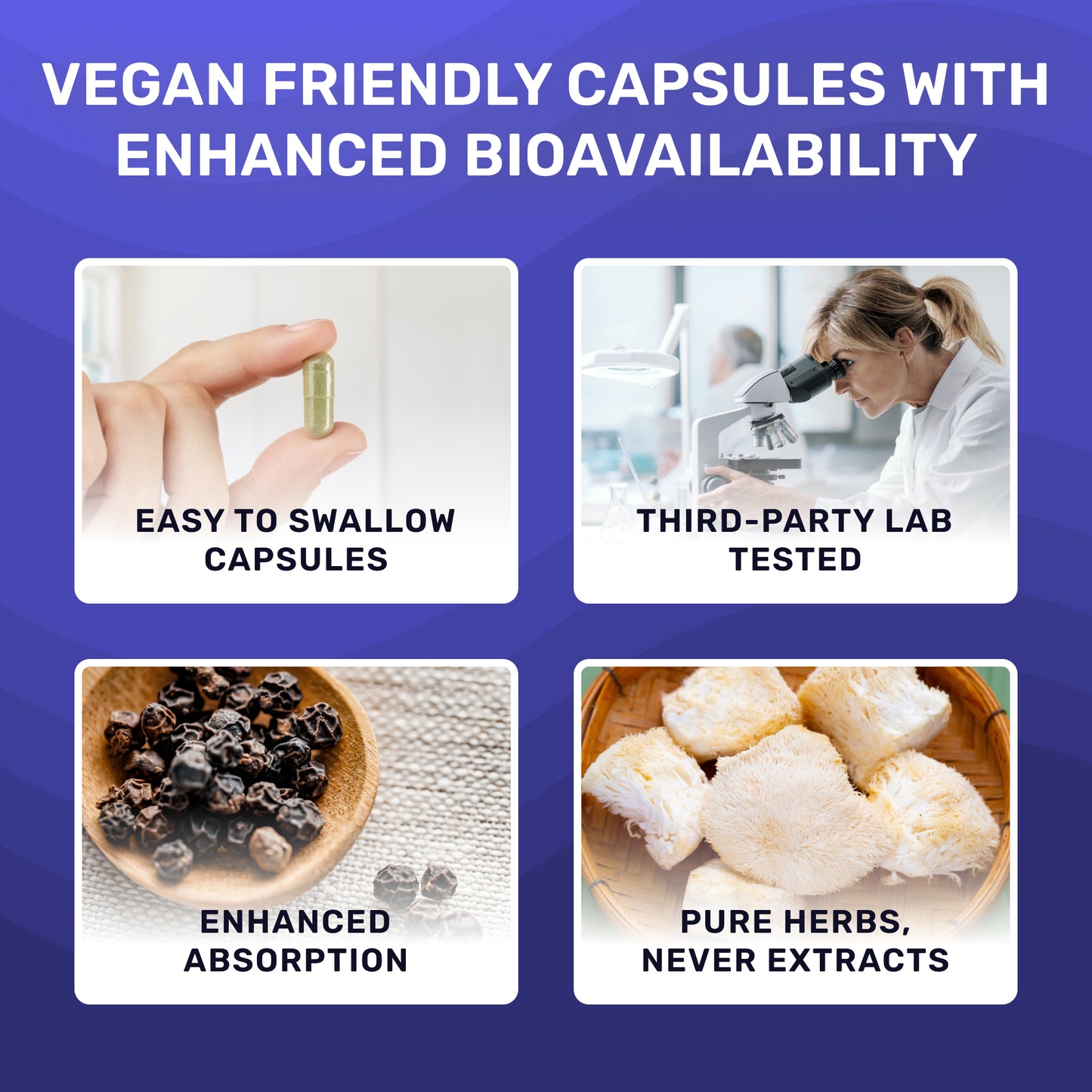 Organic Sea Moss & Lion's Mane - Focus Blend