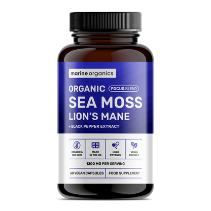 Organic Sea Moss & Lion's Mane - Focus Blend