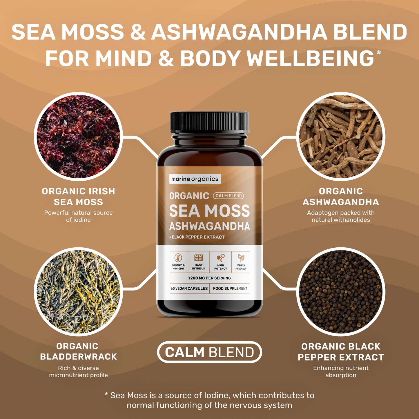 Organic Sea Moss & Ashwagandha - Calm Blend