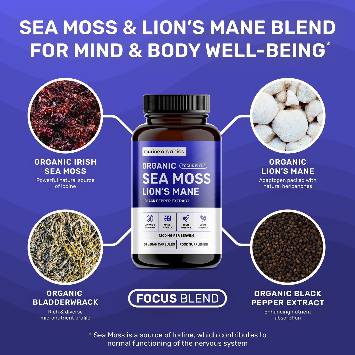 Organic Sea Moss & Lion's Mane - Focus Blend