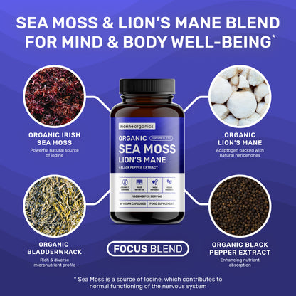 Organic Sea Moss & Lion's Mane - Focus Blend