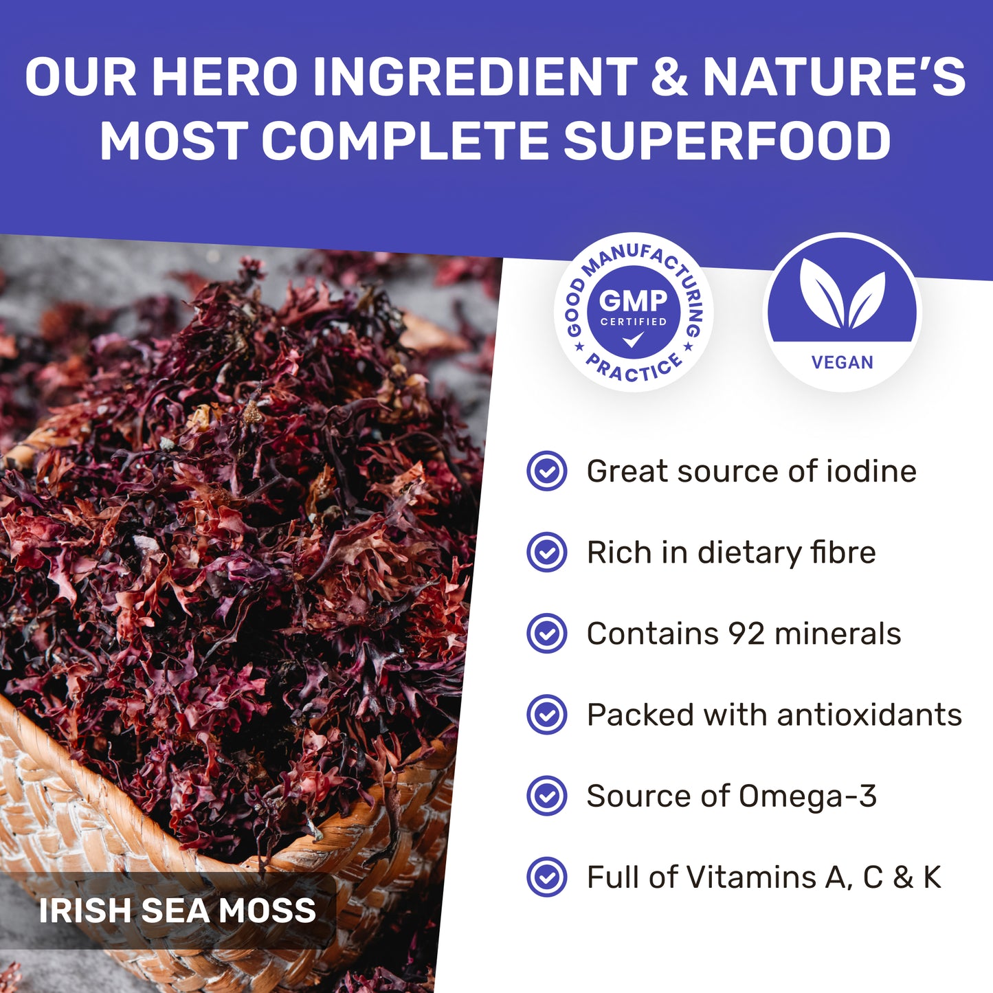 Organic Sea Moss & Lion's Mane - Focus Blend