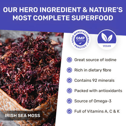 Organic Sea Moss & Lion's Mane - Focus Blend
