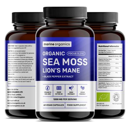 Organic Sea Moss & Lion's Mane - Focus Blend