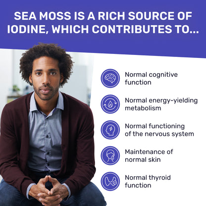 Organic Sea Moss & Lion's Mane - Focus Blend